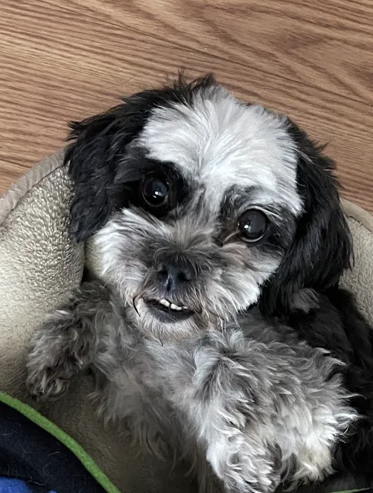 West Olive Animal Hospital Llc 6