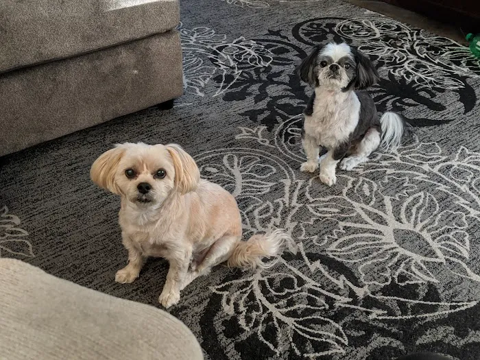 West Olive Animal Hospital Llc 7