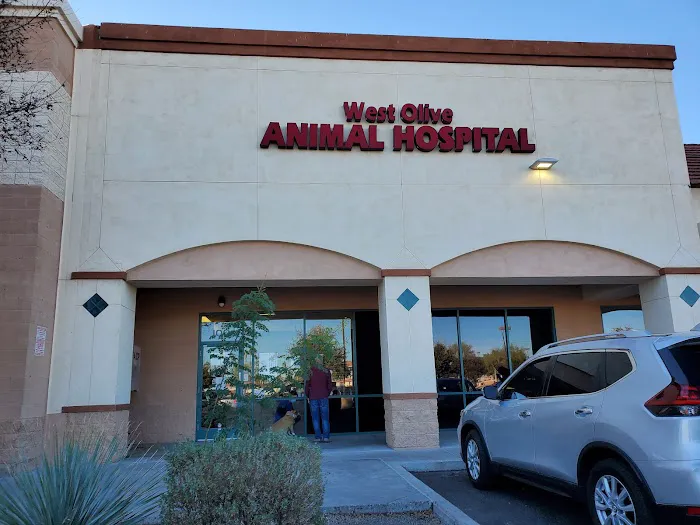 West Olive Animal Hospital Llc 2