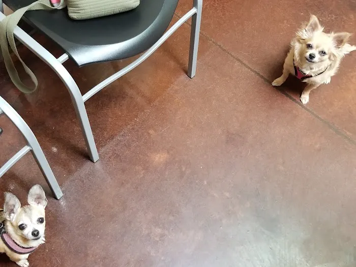Westridge Animal Hospital 4