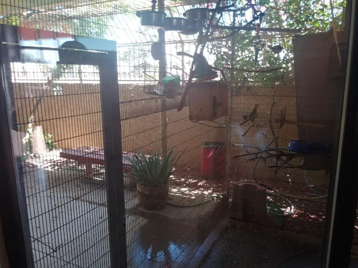 Westridge Animal Hospital 5