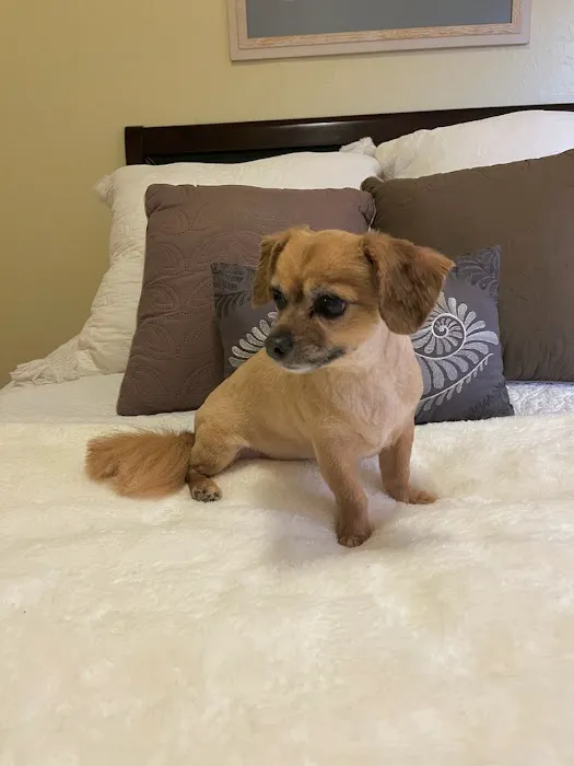 Westridge Animal Hospital 7
