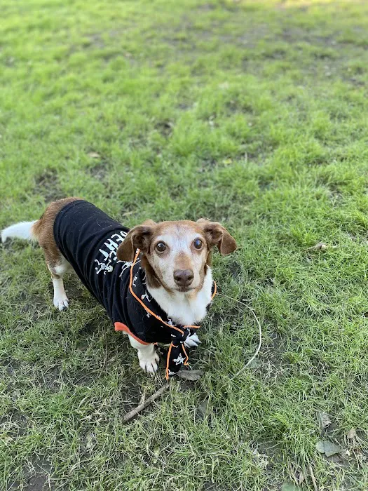 Banfield Pet Hospital 5