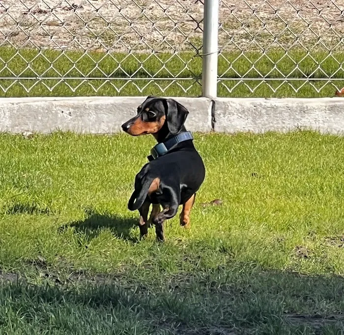 Banfield Pet Hospital 9