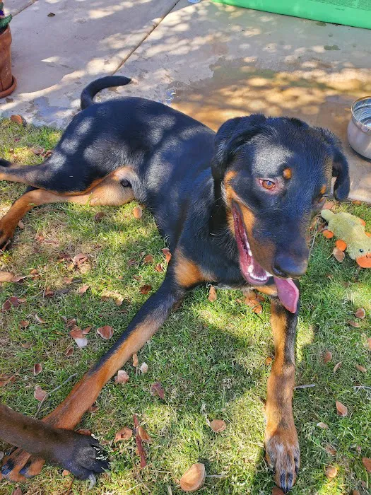 Banfield Pet Hospital 7