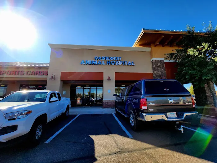 Camelwest Animal Hospital 4