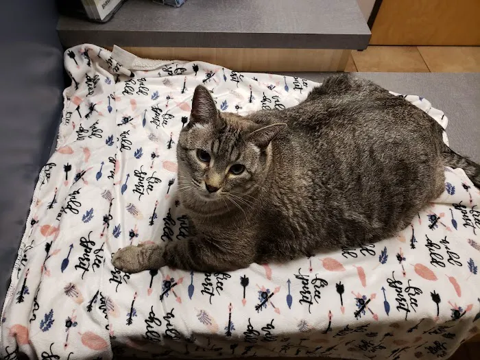 Camelwest Animal Hospital 7