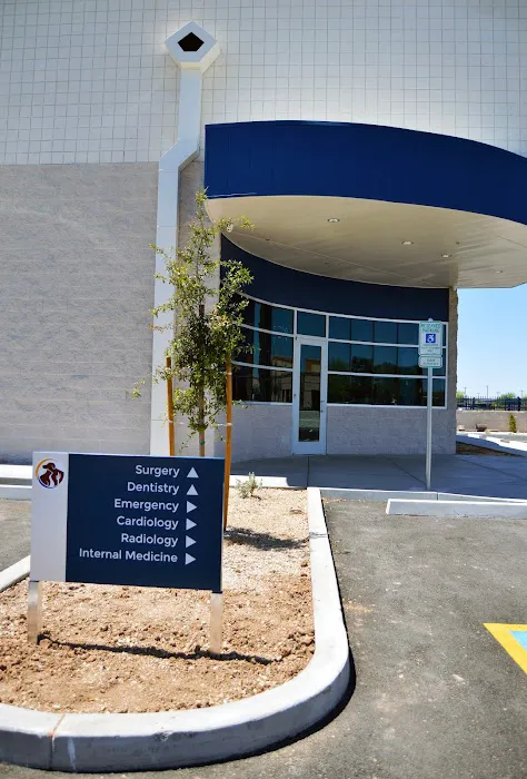 Southwest Veterinary Surgical Service, PC 10