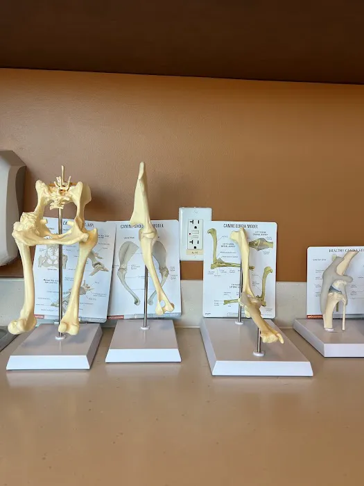 Arizona Canine Orthopedics & Sports Medicine 2