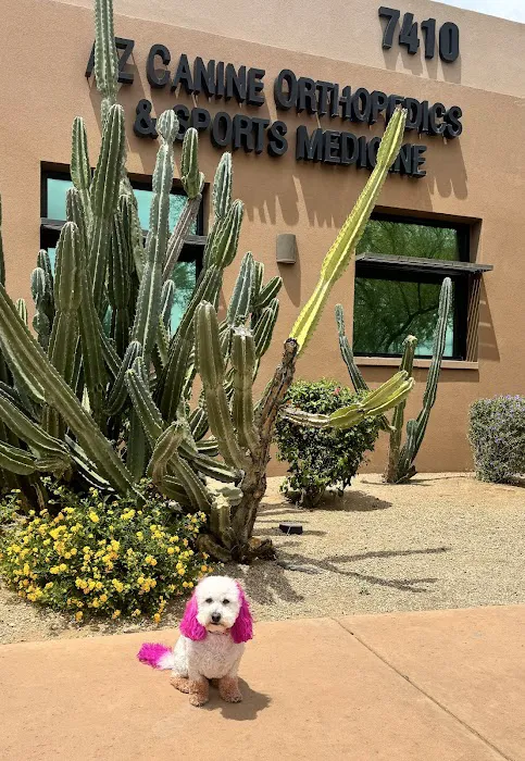 Arizona Canine Orthopedics & Sports Medicine 7