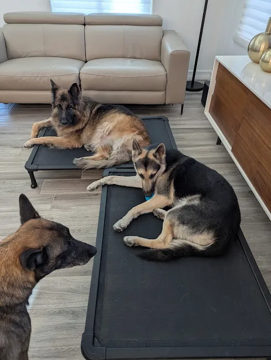 Rio Verde Animal Hospital 2