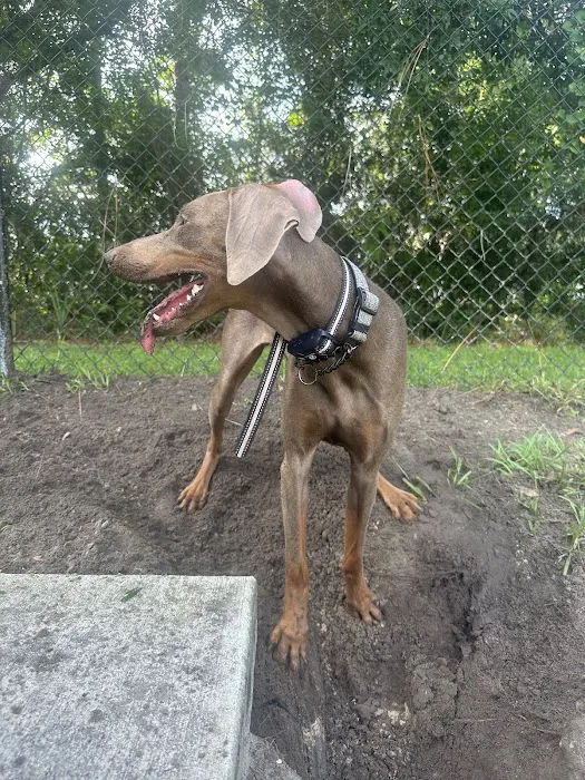 Banfield Pet Hospital 8