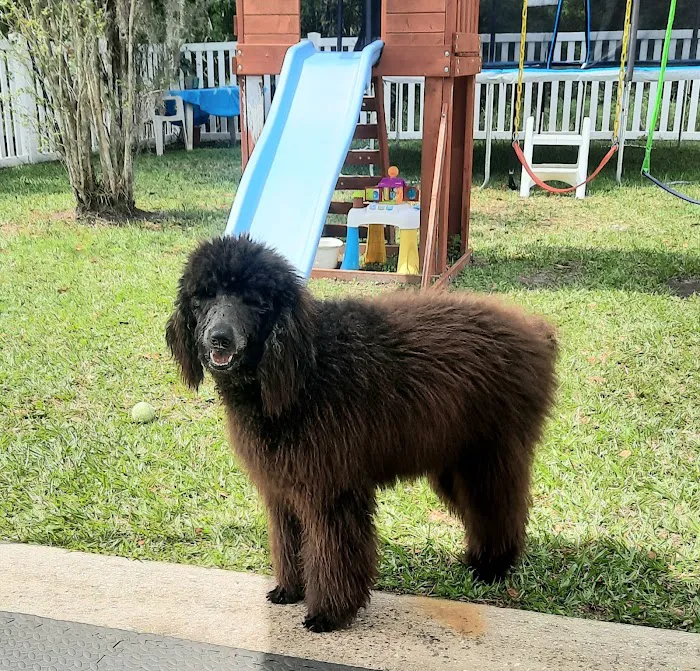 Banfield Pet Hospital 7