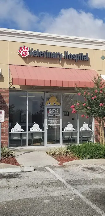 Shey's Veterinary Hospital 7