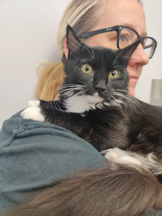 Shey's Veterinary Hospital 3