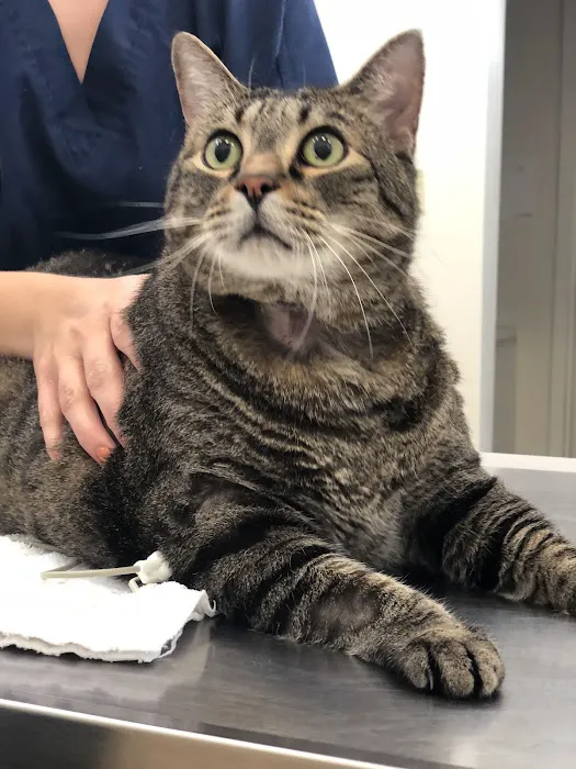 Eastwood Animal Hospital 12