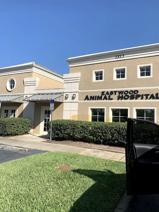 Eastwood Animal Hospital 12