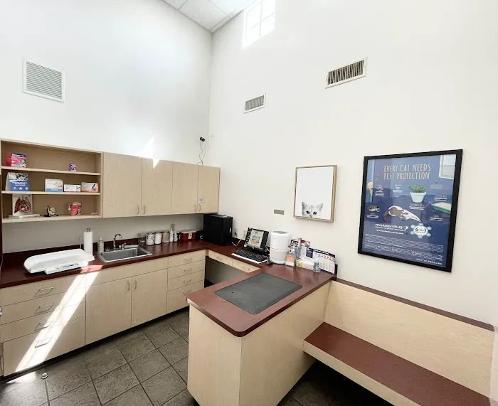 Eastwood Animal Hospital 12