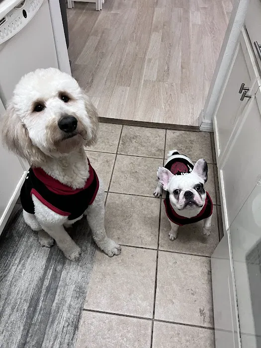 Eastwood Animal Hospital 12