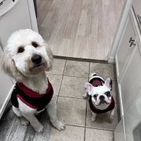 Eastwood Animal Hospital ico