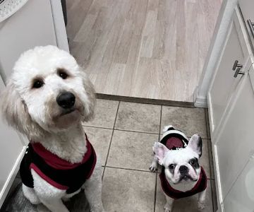 Eastwood Animal Hospital