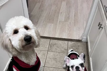Eastwood Animal Hospital