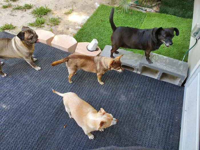 Chuluota Veterinary Hospital 8