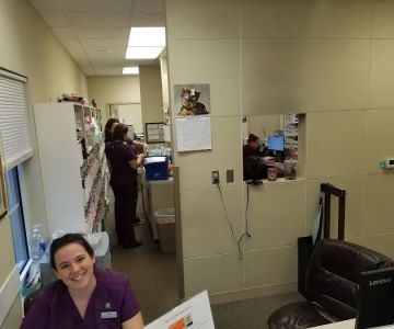 Chickasaw Trail Animal Hospital