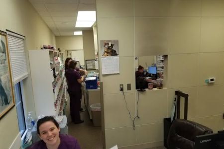 Chickasaw Trail Animal Hospital