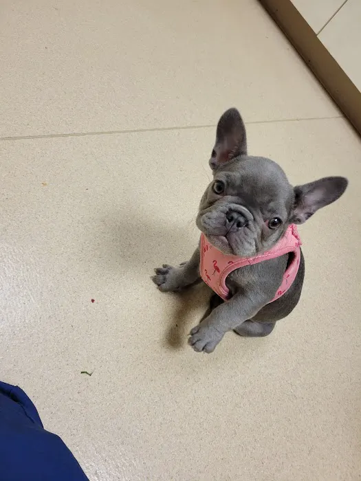 Chickasaw Trail Animal Hospital 12