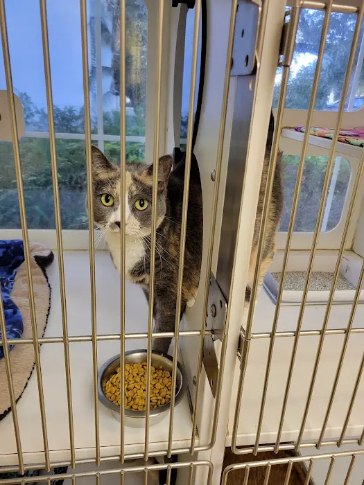 Chickasaw Trail Animal Hospital 12