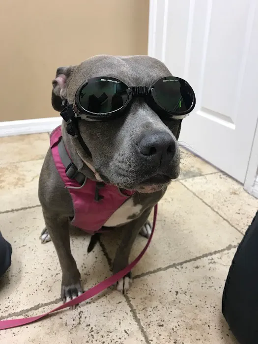 Avalon Family Vet 7