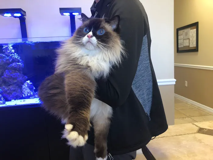 Avalon Family Vet 4