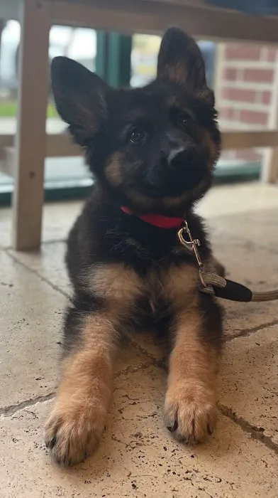 Avalon Family Vet 3