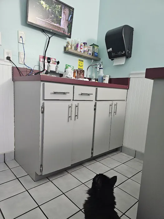 Pershing Oaks Animal Hospital 12