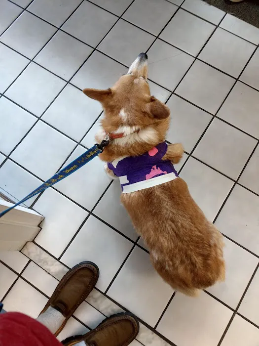 Pershing Oaks Animal Hospital 12
