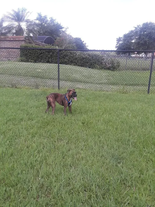 Pershing Oaks Animal Hospital 12