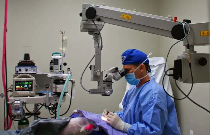 Veterinary Eye Institute Orlando 5