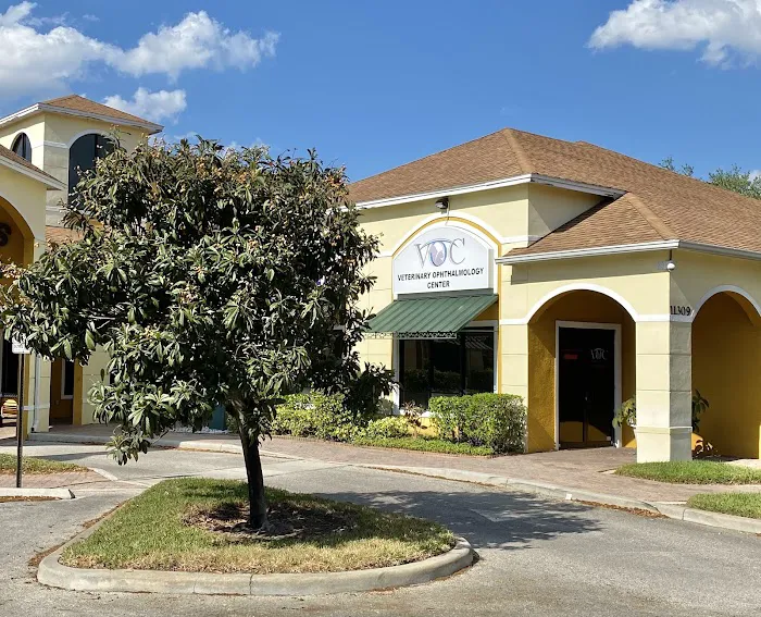 Veterinary Eye Institute Orlando 4