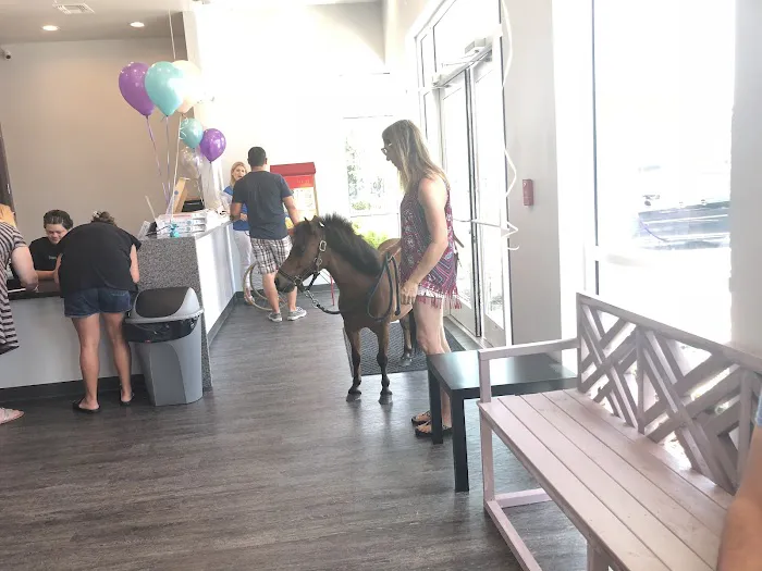 Nona's Ark Animal Hospital 9