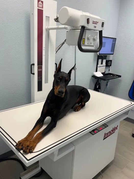 Nona Village Veterinary Hospital 6