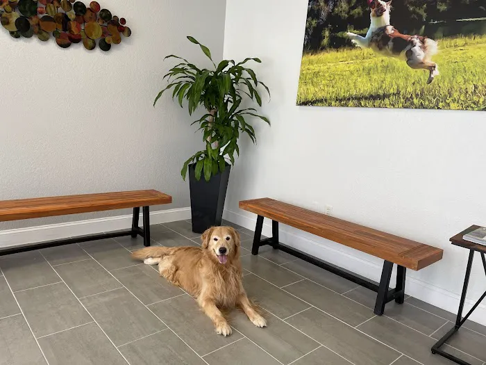Nona Village Veterinary Hospital 10