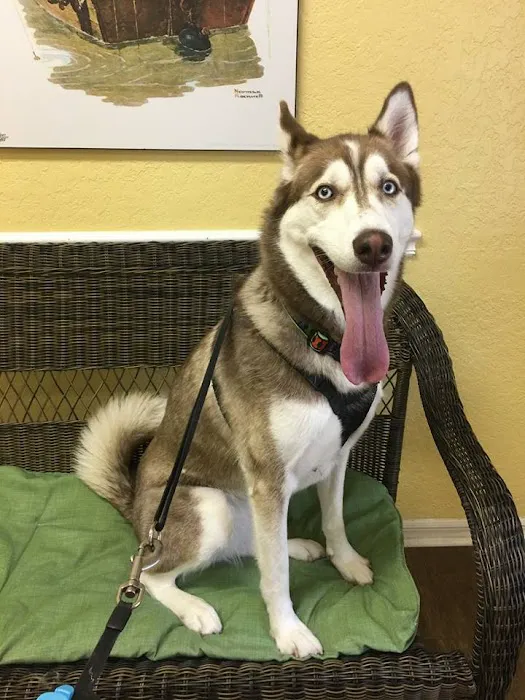 Volusia Woods Animal Clinic 12