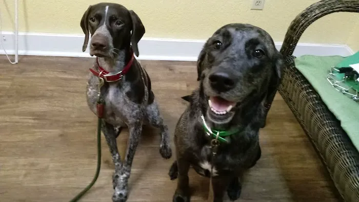 Volusia Woods Animal Clinic 12