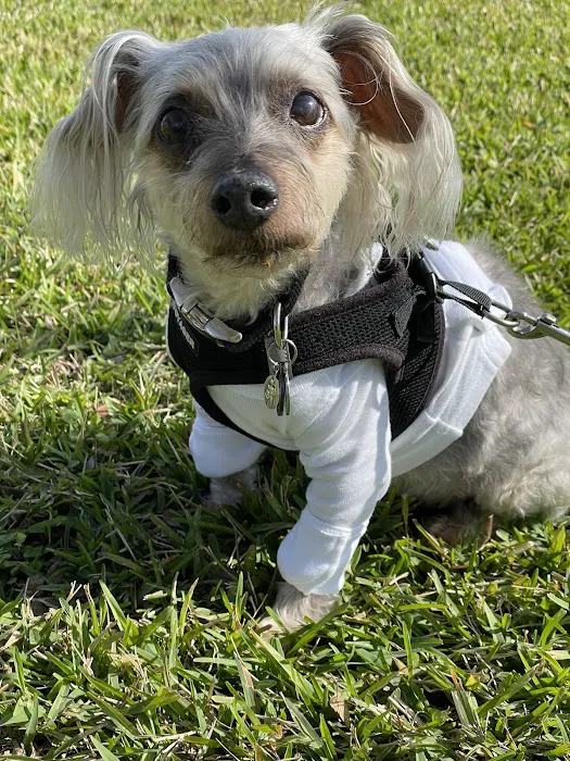 FloridaWild Integrative Veterinary Center & Urgent Care 7