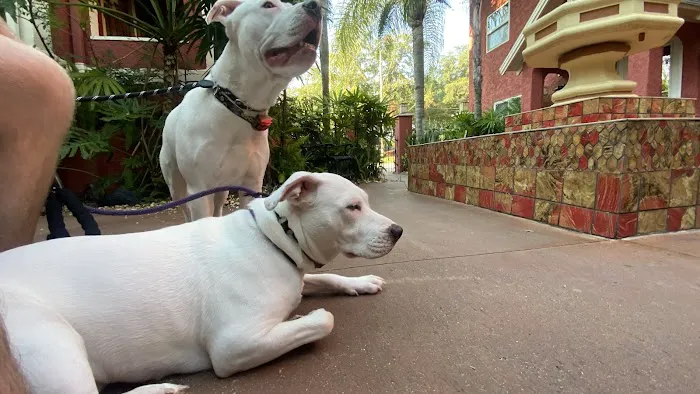 FloridaWild Integrative Veterinary Center & Urgent Care 2