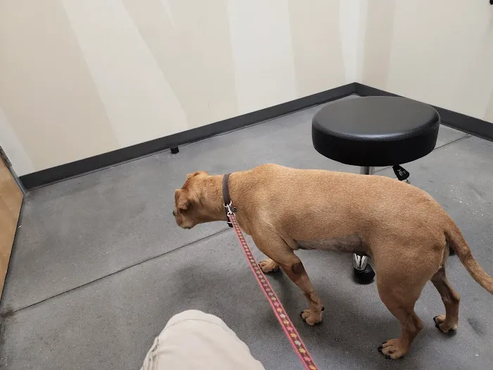 Vetco Total Care Animal Hospital 12