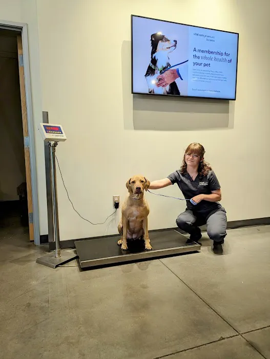 Vetco Total Care Animal Hospital 12