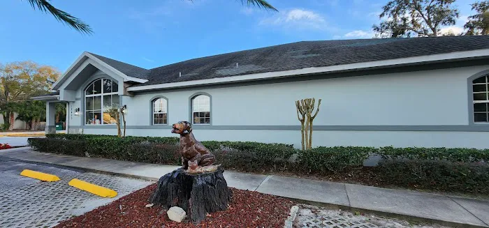 Palmetto Animal Health Center 12