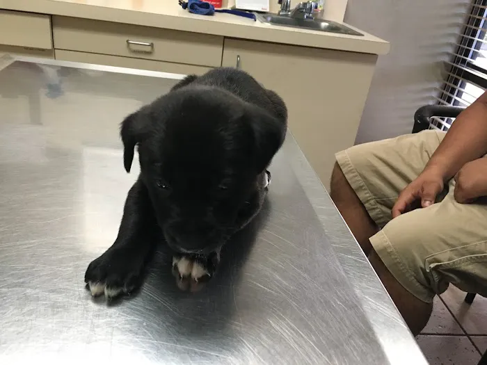 Humane Society of North America 12